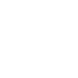 reset_logo_official_white_191017